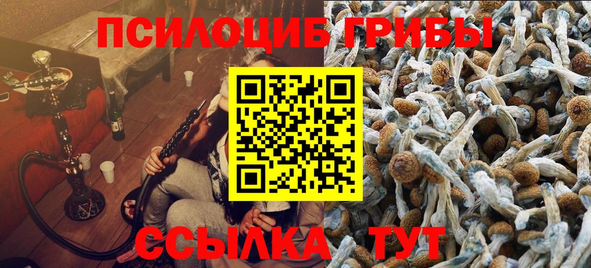 цена наркотик  Стрежевой  Псилоцибиновые грибы прущие грибы 