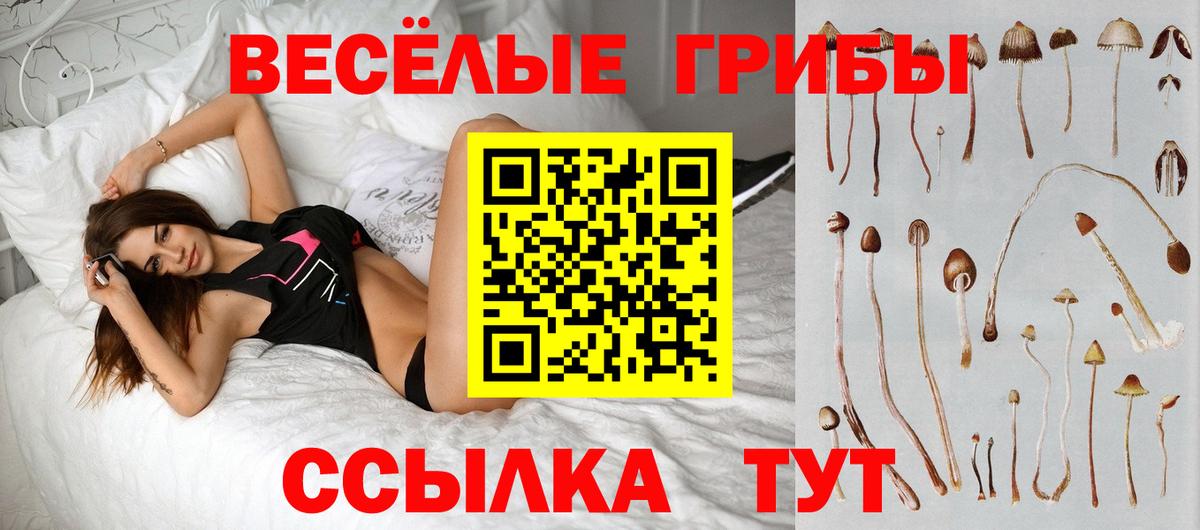 Стрежевой  Псилоцибиновые грибы Psilocybine cubensis  Вход с VPN 